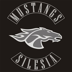 Mustangs.jpg