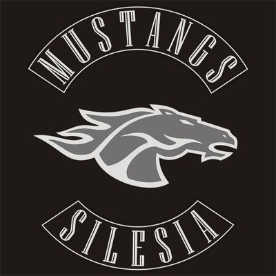 Mustangs.jpg