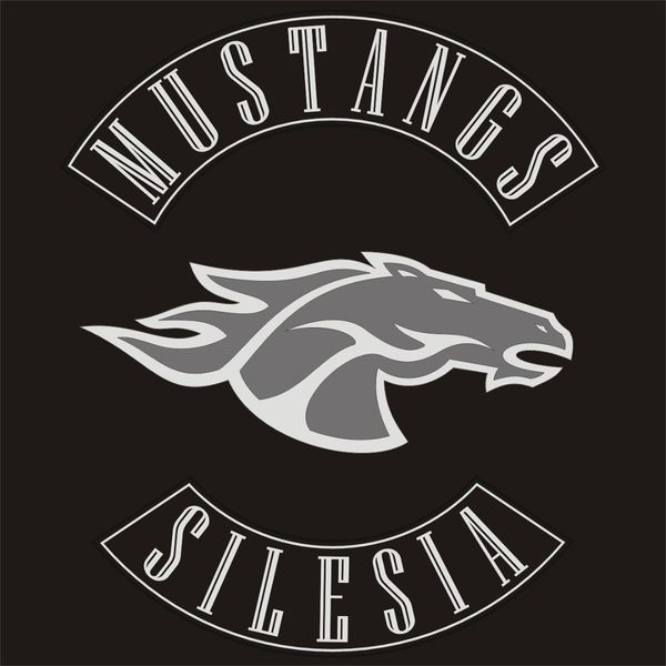 Файл:Mustangs.jpg
