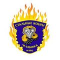 Миниатюра для версии от 09:46, 11 апреля 2017
