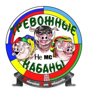 SvHZL5oKMOM.jpg