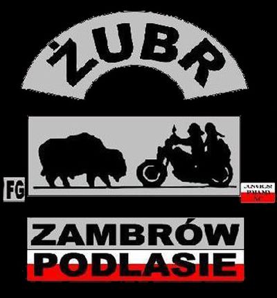 Zubr.jpg