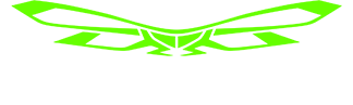 Файл:Logo (1).png