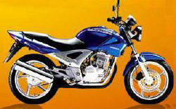 Honda-CBX-250-Twister-2000.jpg
