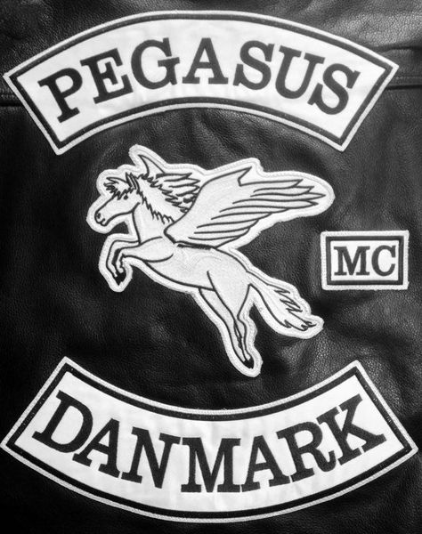 Файл:Pegasus.jpg