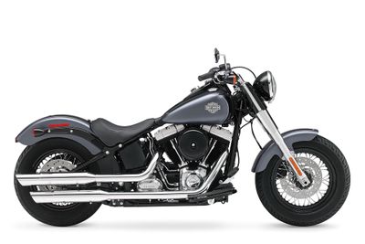 2015-Harley-Davidson-FLS-SoftailSlim3.jpg