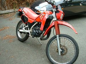 2008072721396977442dtr1.jpg