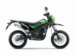 J189208-KAWASAKI-D-Tracker-150.jpg