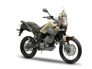 Yamaha XT660Z Tenere 2008-28.jpg