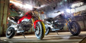 2014-honda-grom 6.jpg
