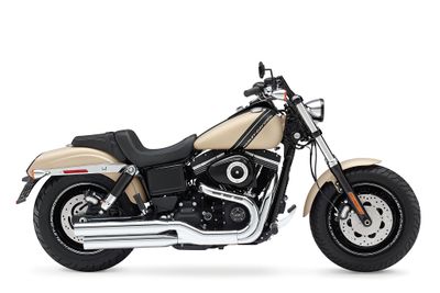 2014-Harley-Davidson-FXDF-FatBob4.jpg
