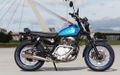TU 250 G Grasstracker.JPG