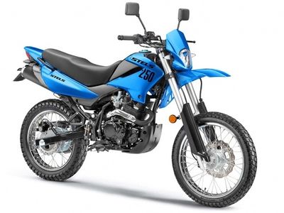 250 Enduro.jpeg