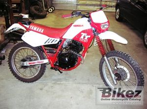 Tt 225.jpg