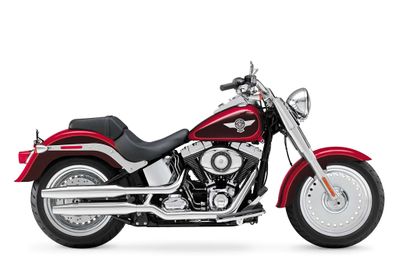 2013-Harley-Davidson-FLSTF-Fat-Boy3 (1).jpg