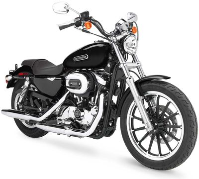 2006-Harley-Davidson-XL1200LSportsterLowd.jpg