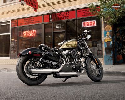 2013-Harley-Davidson-Sportster-XL1200XFortyEight48b.jpg