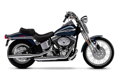 2003-Harley-Davidson-FXSTS-FXSTSISpringerSoftailb.jpg