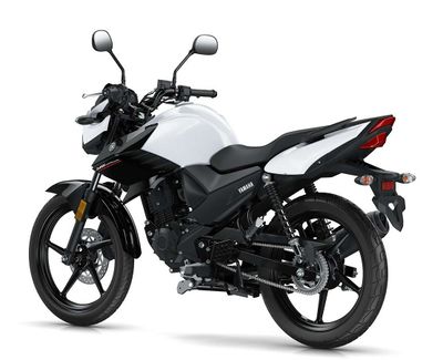 YS-125 2017 3.jpg