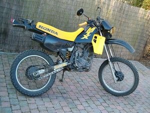Honda MTX 50 2.jpg