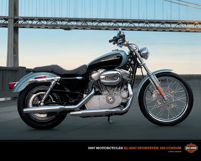 Harleydavidson-xl883c-sportster-883-custom-2010-8.jpg