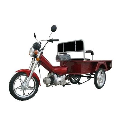 GRYPHON ORION 100 Tricycle.jpg