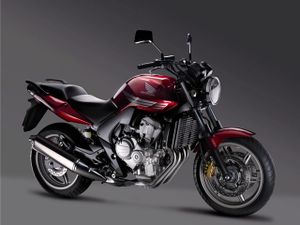 Honda cbf600 2008 gross 5.jpg